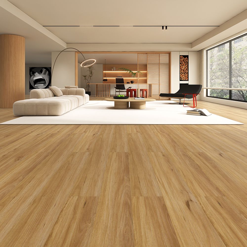 Blackbutt