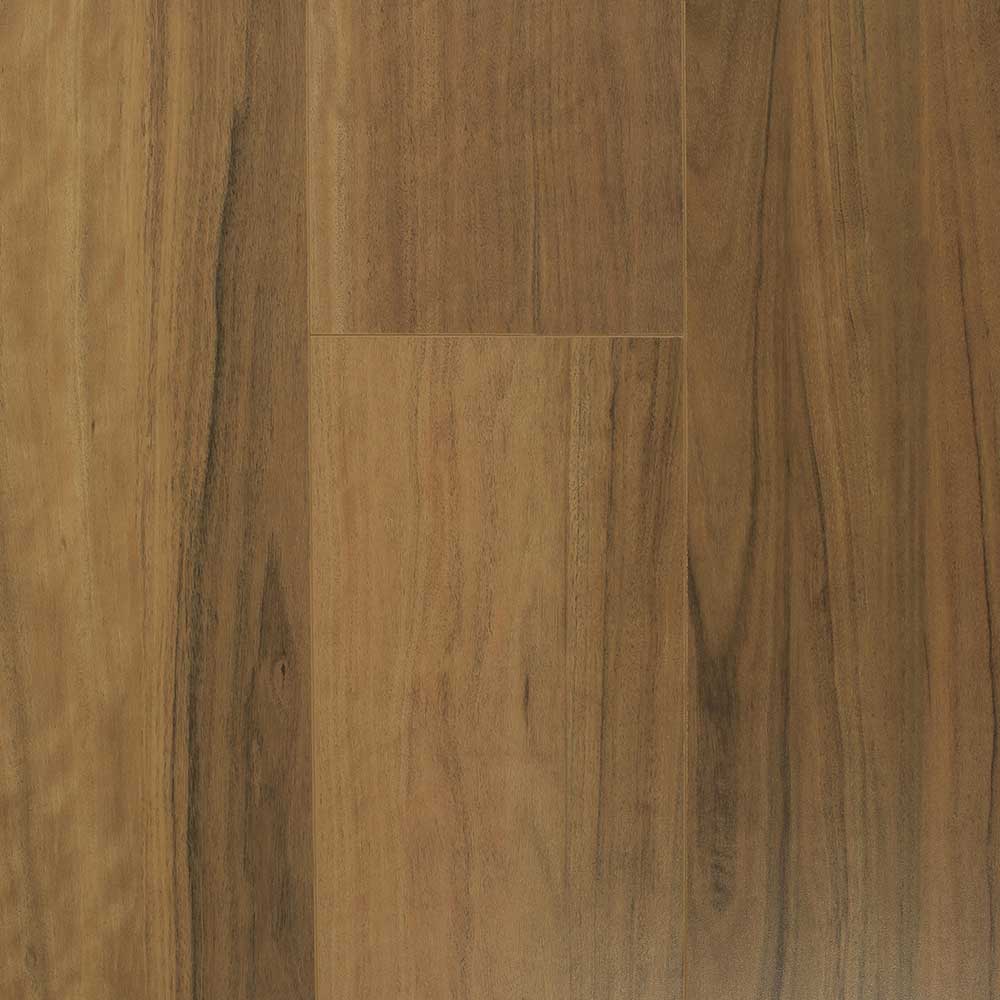 QLD Spotted Gum