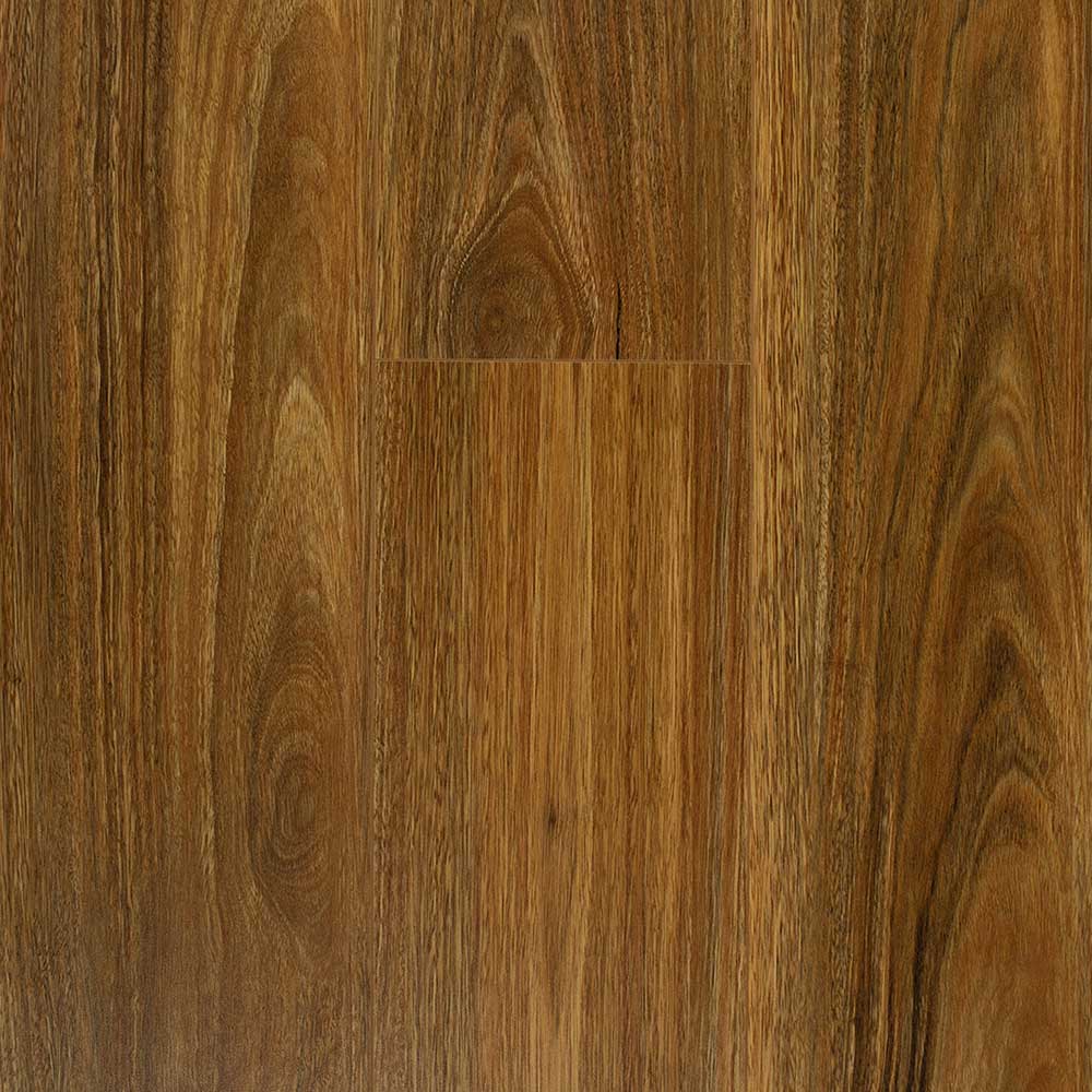Spotted Gum