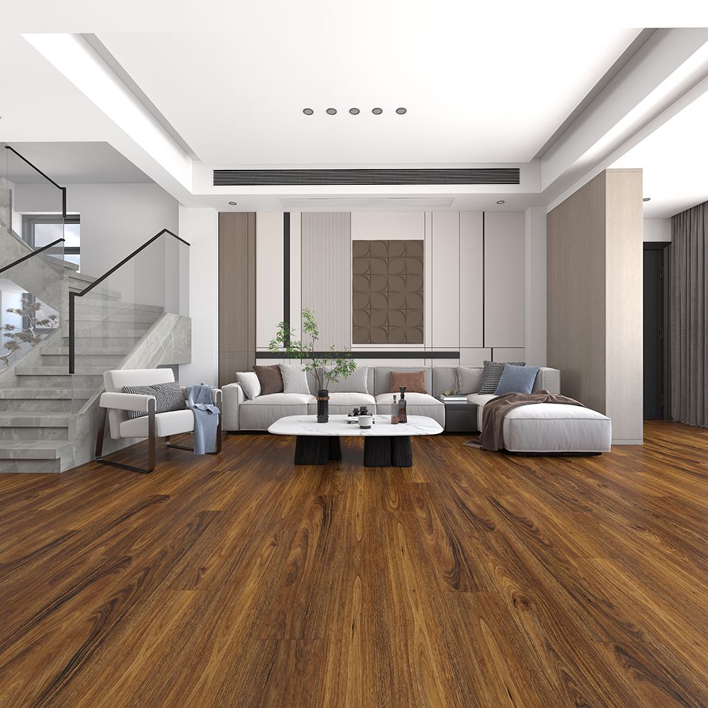 Spotted Gum