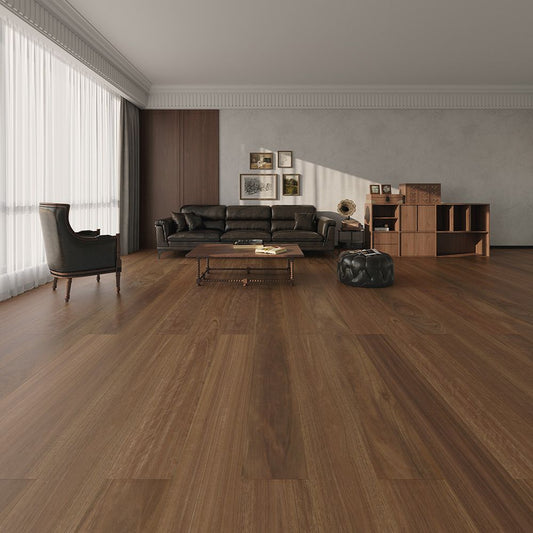 Spotted Gum