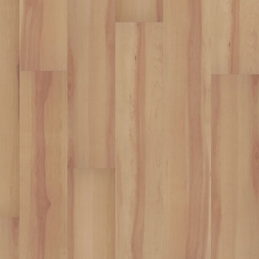 Spotted Gum 2416