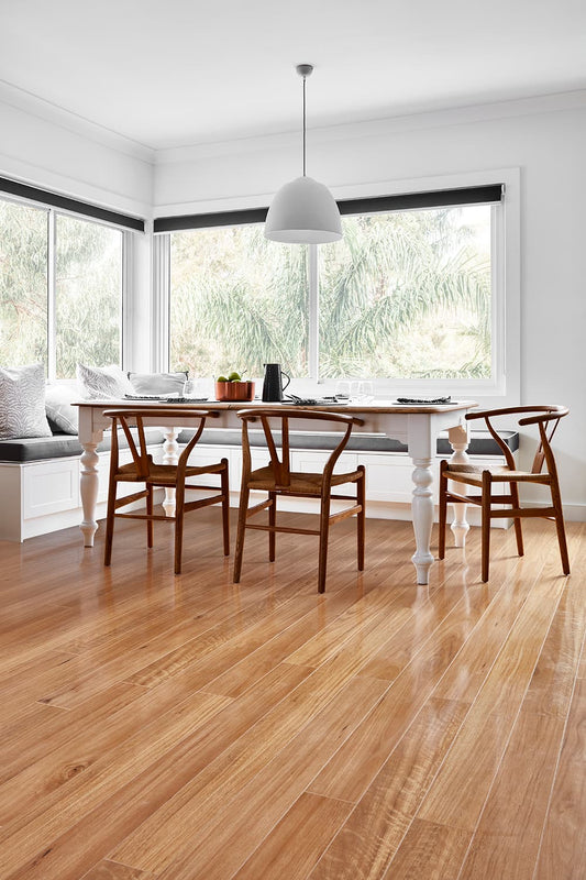 Blackbutt