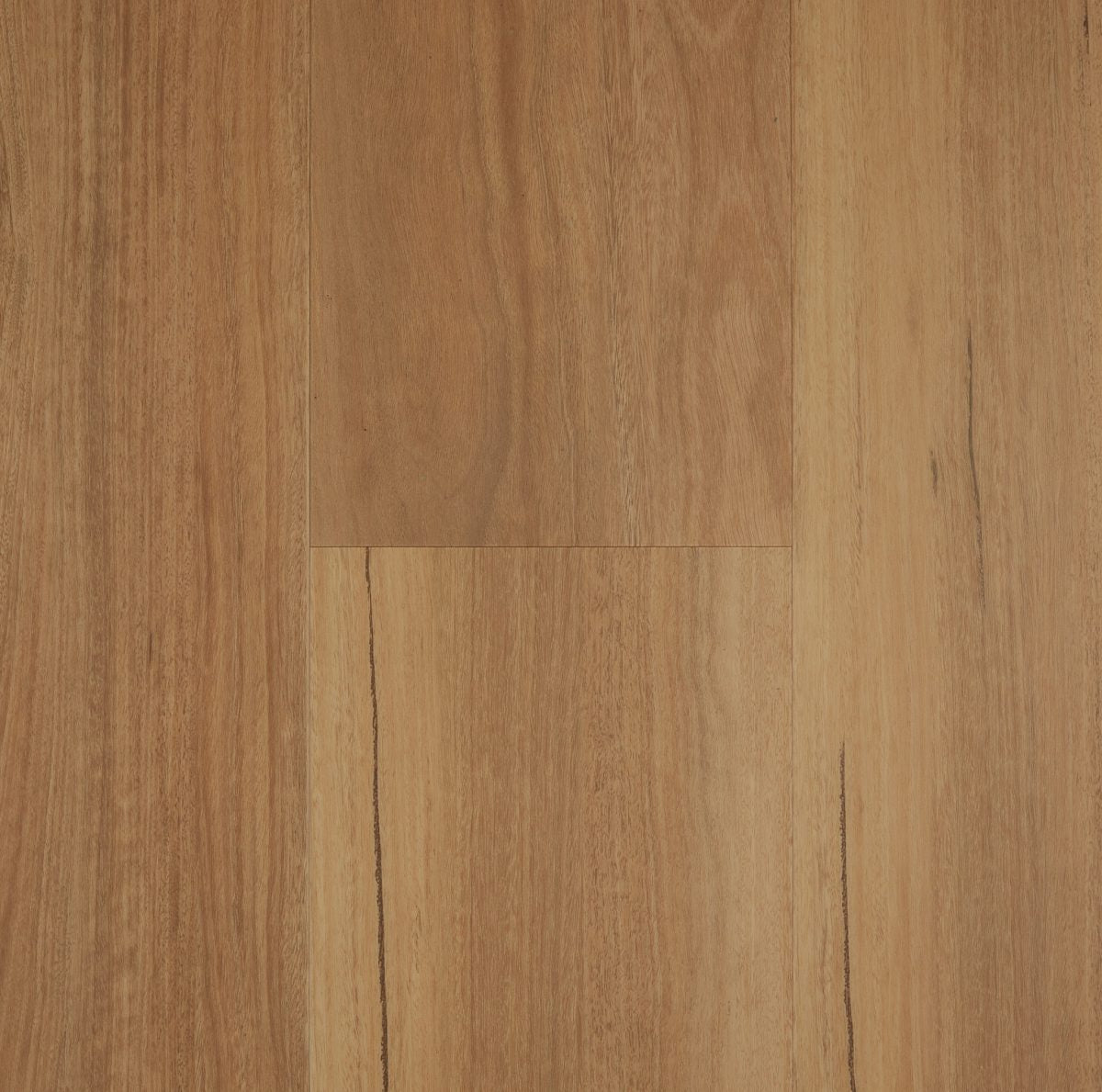 Classic Spotted Gum