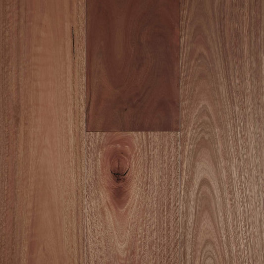 Brushed Spotted Gum 180