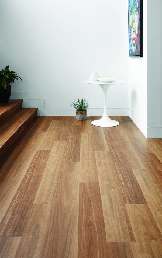 Spotted Gum