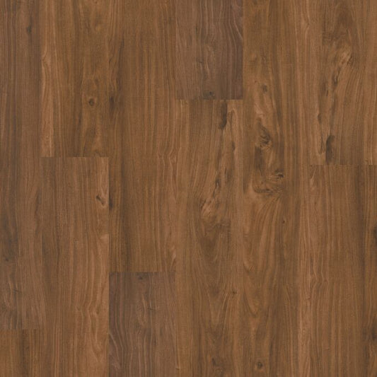 Blackwood 2417