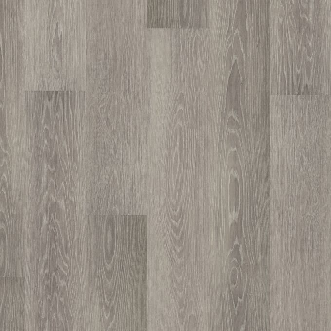 Silver Birch 2418