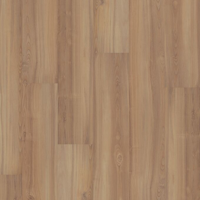 Washed Pine 2410