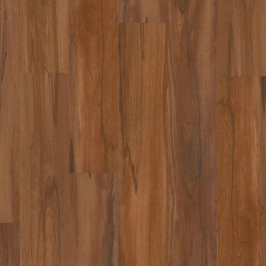 Wattle 2412