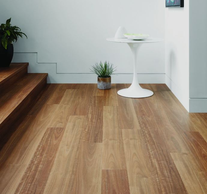 Spotted Gum - Preference Floors