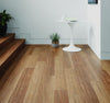 Spotted Gum - Preference Floors
