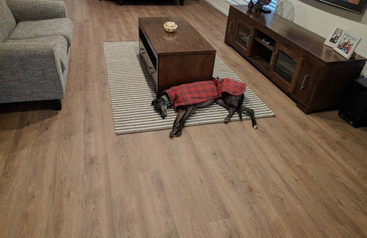 Ornato Como – Eco Flooring Systems