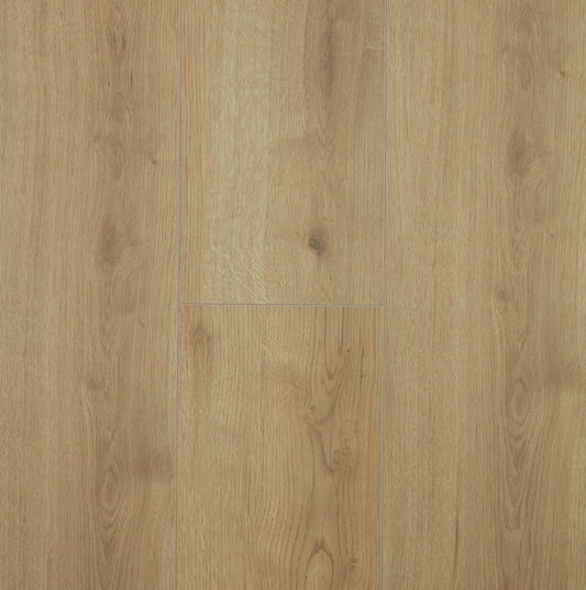 Oak Adaja