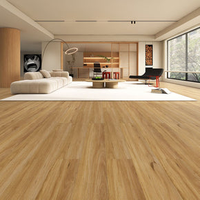 Blackbutt - 20221013102356199
