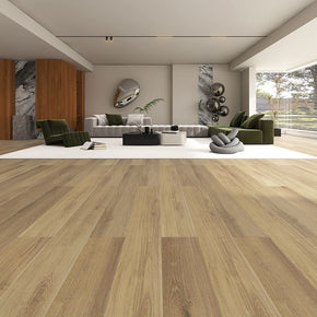 Chicory - 2022111151116218