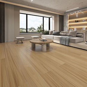 New England Blackbutt - 2022111151141450