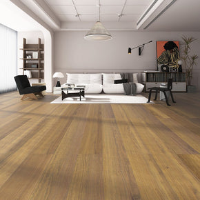 QLD Spotted Gum - 2022111151539937