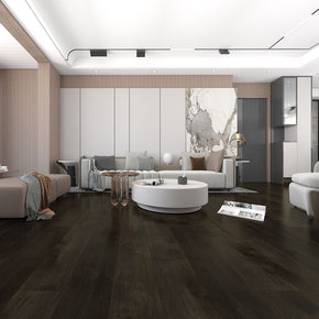 Dark Truffle - 202211281000738