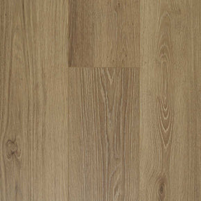 Chicory - 20221128105140581