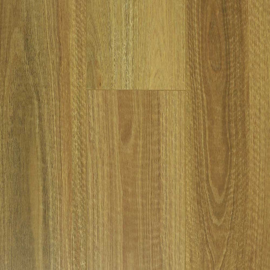 NSW Spotted Gum