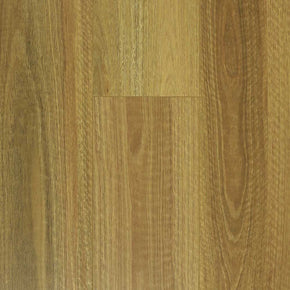 NSW Spotted Gum - 20221128105155398