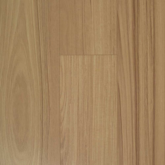 New England Blackbutt