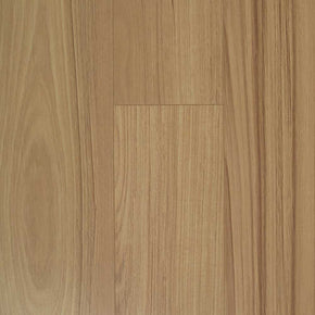 New England Blackbutt - 20221128105213506