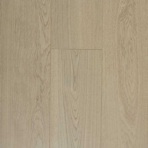 Poplar - 20221128124636115