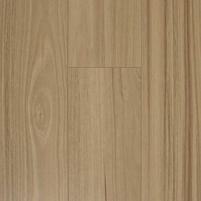 Coastal Blackbutt - 20221128124722197