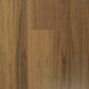 QLD Spotted Gum - 20221128124737942