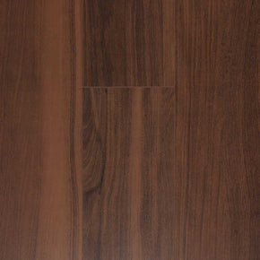 Red Ironbark - 20221128124753805