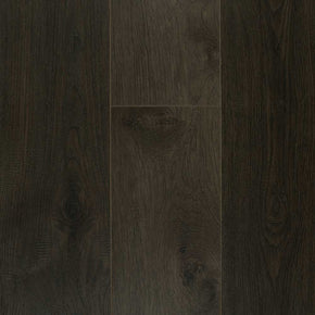 Dark Truffle - 2022112812526493