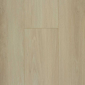 Crema - 2022112813038754