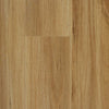 Blackbutt