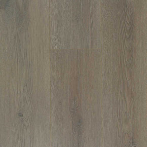 Flax - 202211281324197