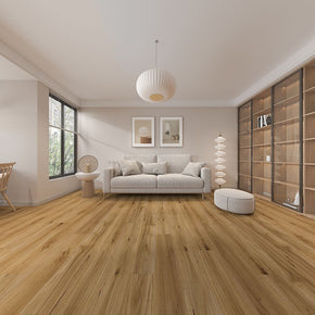 Blackbutt - 202211289583960