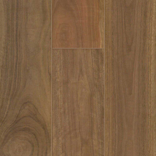 Spotted Gum