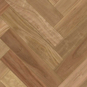 Blackbutt - 202427155243848