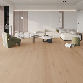Auer - 2024524194912509