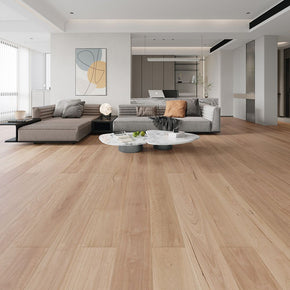 Blackbutt - 2024524195046457