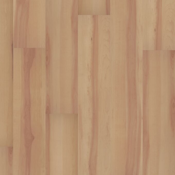 Spotted Gum 2416