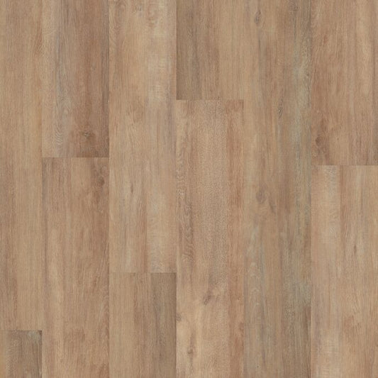 Grey Gum 9420