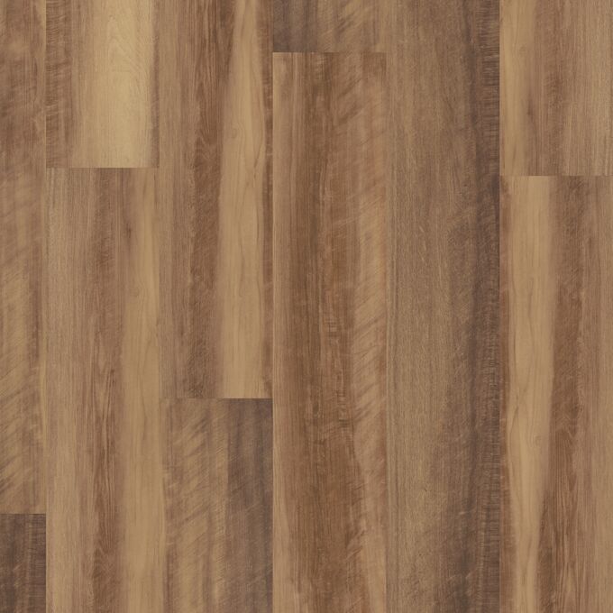 Paperbark 9411