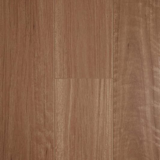Aged Blackbutt