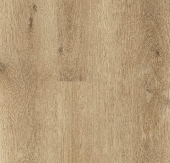 Aspire_Chicory-1200x1151