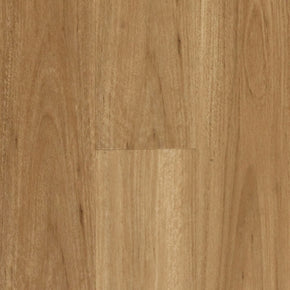 Blackbutt - Blackbutt-Hydroplank