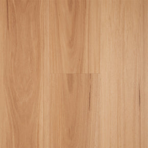 Blackbutt - Blackbutt-Iconic-1