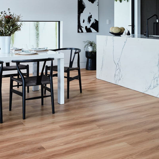 Northern Blackbutt