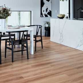 Northern Blackbutt - Blackbutt-Iconic-Hybrid-square